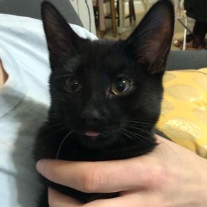 Meet your Posher, Kelsey